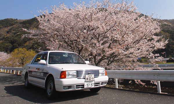 普通車