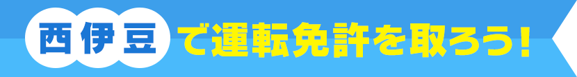 西伊豆で運転免許を取ろう！